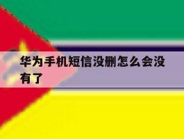 华为手机短信没删怎么会没有了