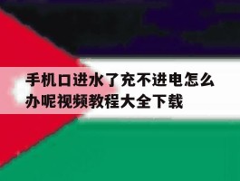 包含手机口进水了充不进电怎么办呢视频教程大全下载的词条