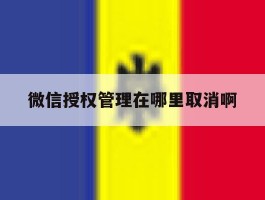 微信授权管理在哪里取消啊