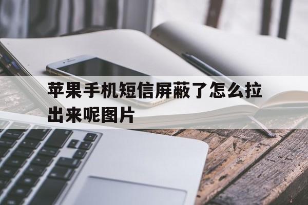 包含苹果手机短信屏蔽了怎么拉出来呢图片的词条 包含苹果手机短信屏蔽了怎么拉出来呢图片的词条